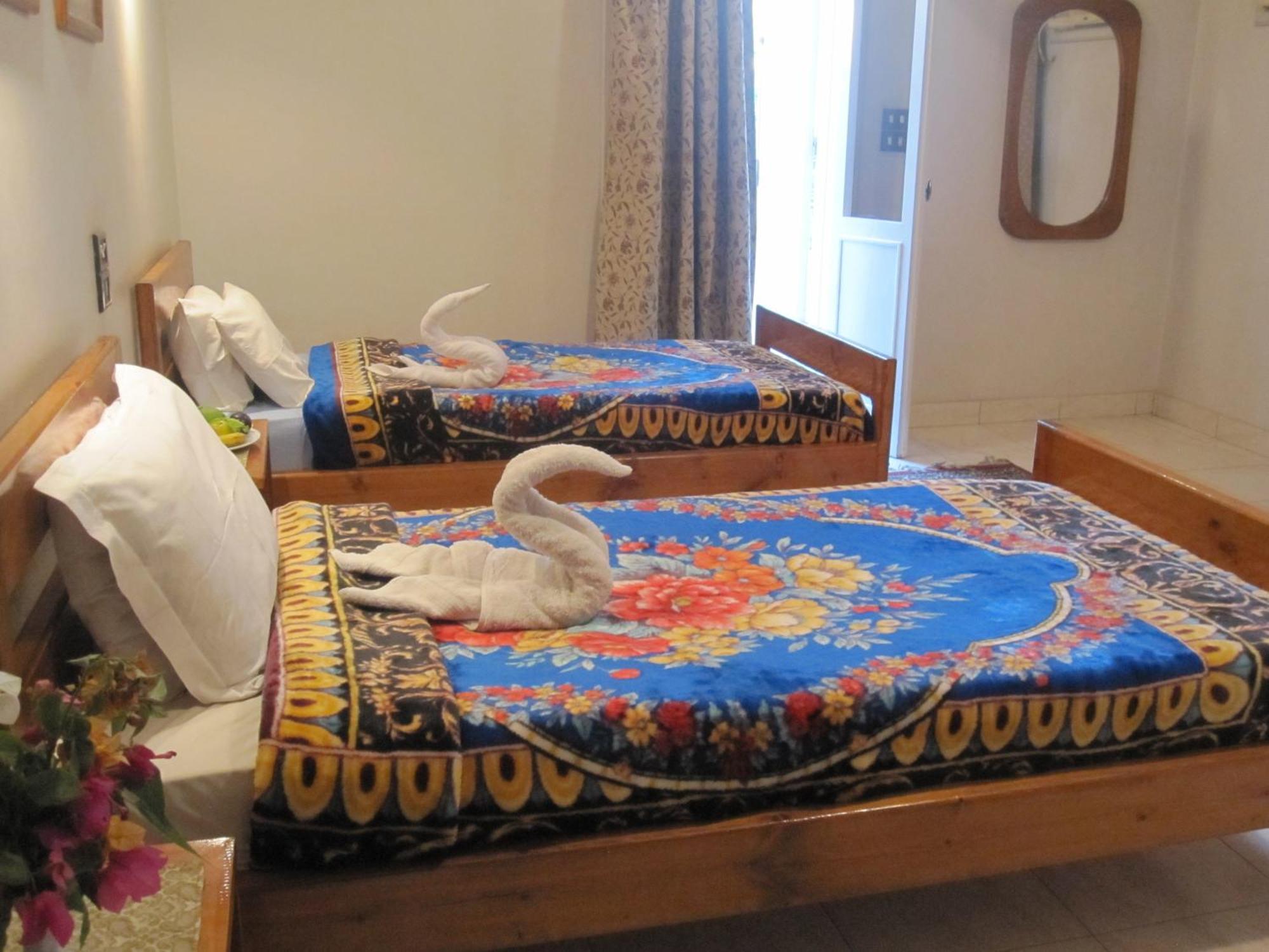 Amon Hotel ルクソール 部屋 写真